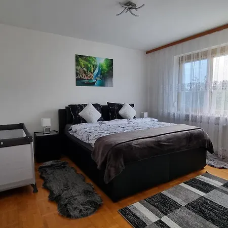 3- Zimmer-wohnung In Leonding 林茨