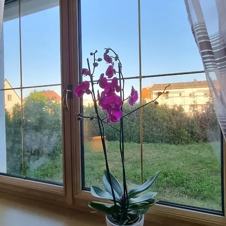 3- Zimmer-wohnung In Leonding Apartment *