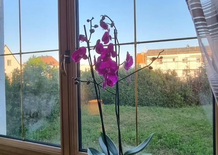 3- Zimmer-wohnung In Leonding Lejlighed *